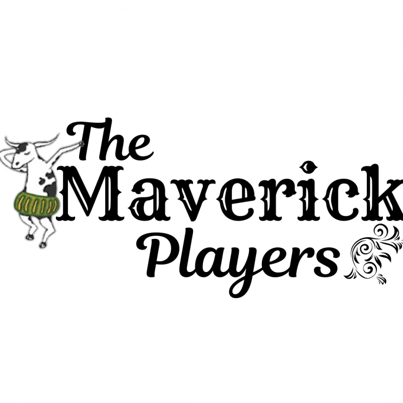 the-maverick-players-wtx-nonprofits